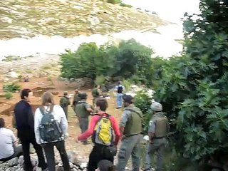 Trees uprooting Artas village, May20