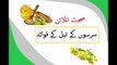 Sarson Mustard Oil Benefits in Urdu
