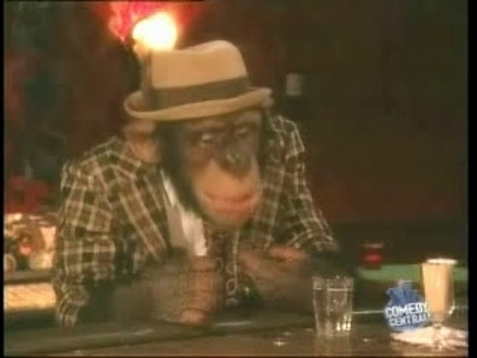 Mettez un costard à un singe  c bien