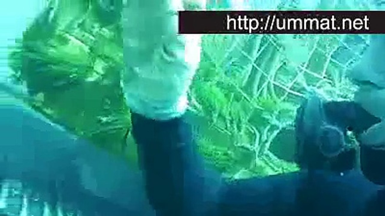 Has anyone ever seen anything like this?