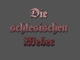 Die schlesischen Weber - Heinrich Heine  (HD) - Weberlied