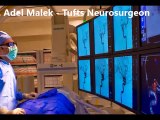 Dr Adel Malek Neurosurgery Tufts