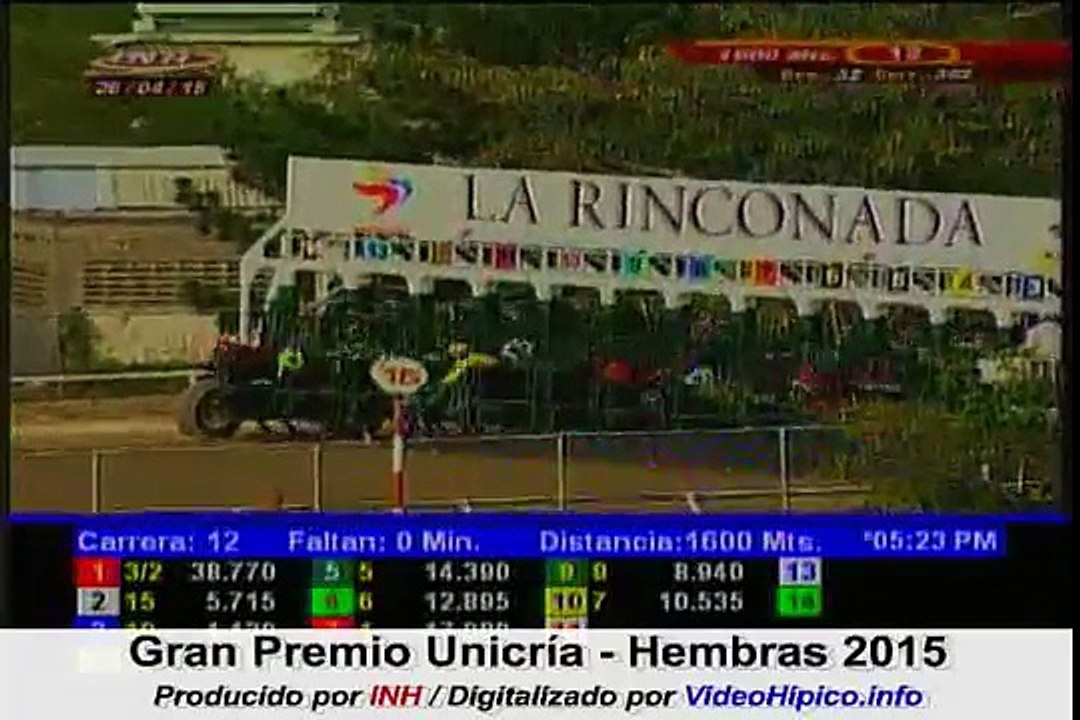 Gran Premio Unicria Hembras 3a 2015
