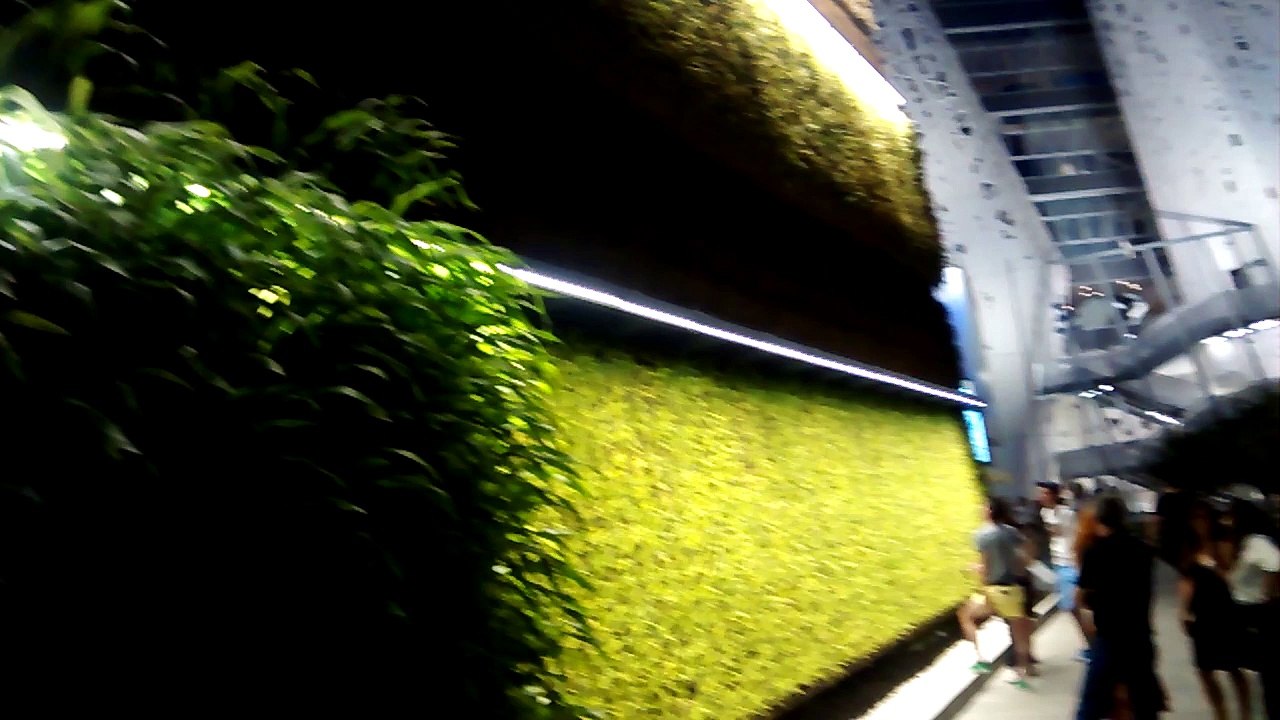 IL PUNTO D - Expo, parete agricola