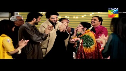 Zid Episode 14 - Hum TV Drama Series