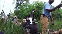 Okavango Delta, Botswana: Mokoro Trip