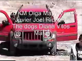 Dogo Argentino Mexico