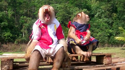 Jk shaki Getting Ready To Go Home