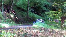 WRC Rallye de France - Alsace with mistakes [HD] By Devillersvideo