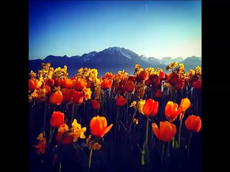 Ecoutes écoutes, dans la musique il y a comme un balancement divin...