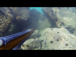 Sortie en digue du 03 juin