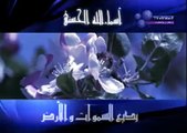 الشيخ مشاري العفاسي ان الصفا والمروة من شعائر الله Alafasy