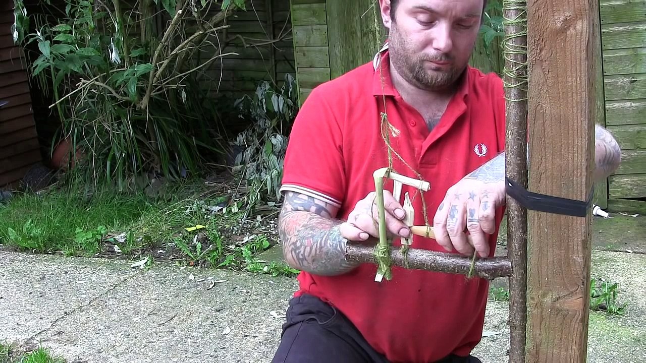 Primitive Traps: reversed thailand bird trap