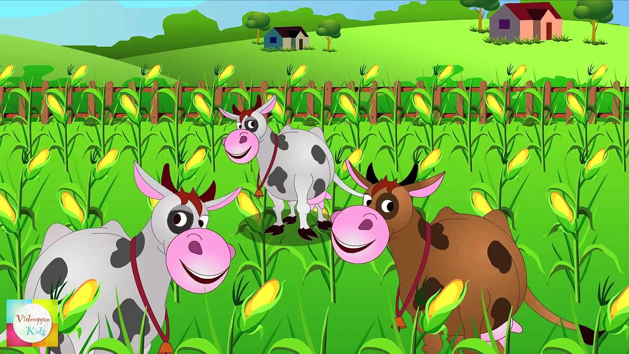 Little Boy Blue Nursery Rhymes   Cartoon Animation Songs For Children