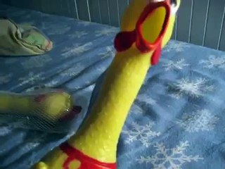 Screaming Rubber Chicken