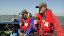 Vogeltellers genieten van een tropische dag op Rottumeroog - RTV Noord