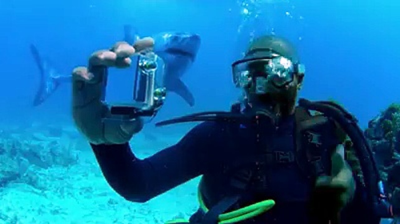 Funny Ad by Turkish Airlines?syndication=228326