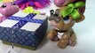 Fan Mail #12  - Mystery Surprise Boxes LPS Littlest Pet Shop Toy Package Opening
