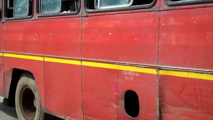Goats free roaming under Indian bus. Desi town bus stand, India.