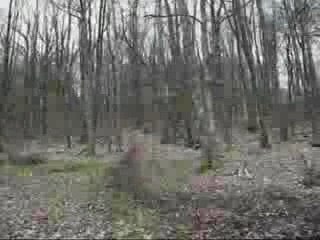 Ptites séances d'entrainements