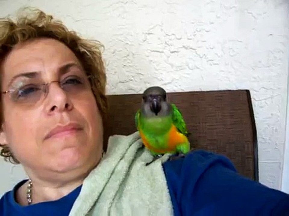 Noodles and Mom