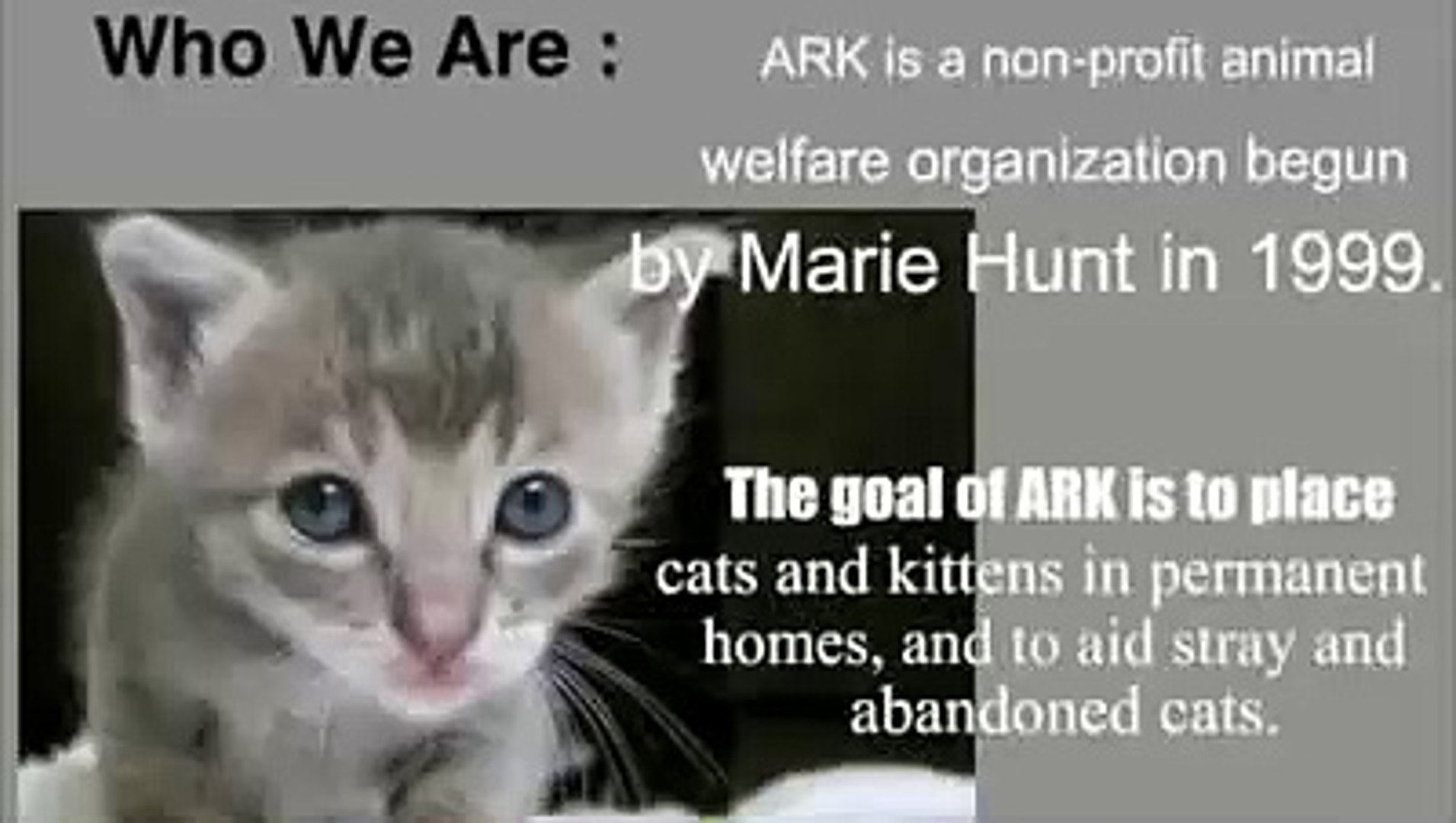 Animal Rescue Krew (ARK)