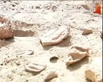 اكتشاف آثار في صحراء تاكليمكان الصينية