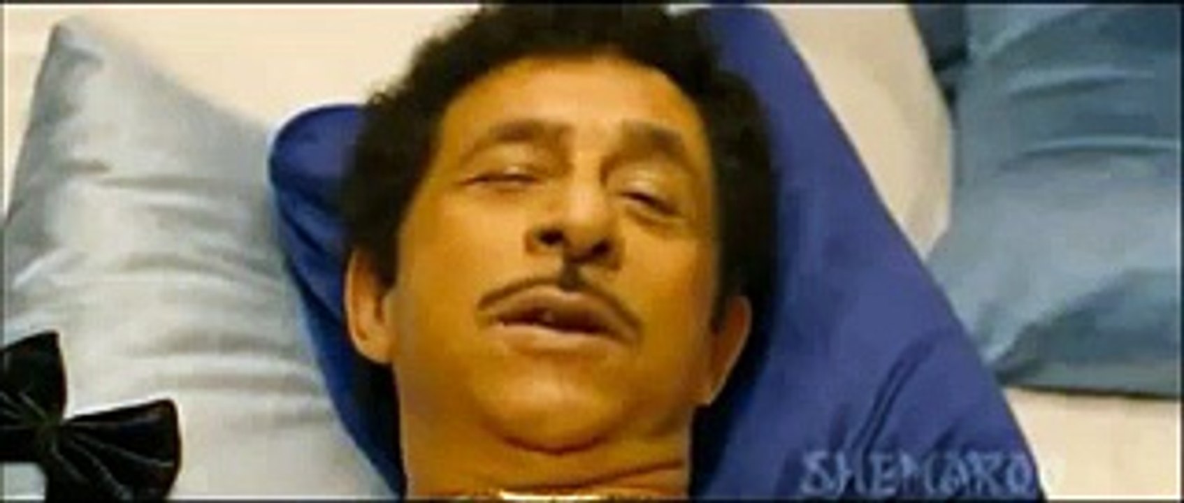 Vidya Balan and Naseer dirty videos leaked
