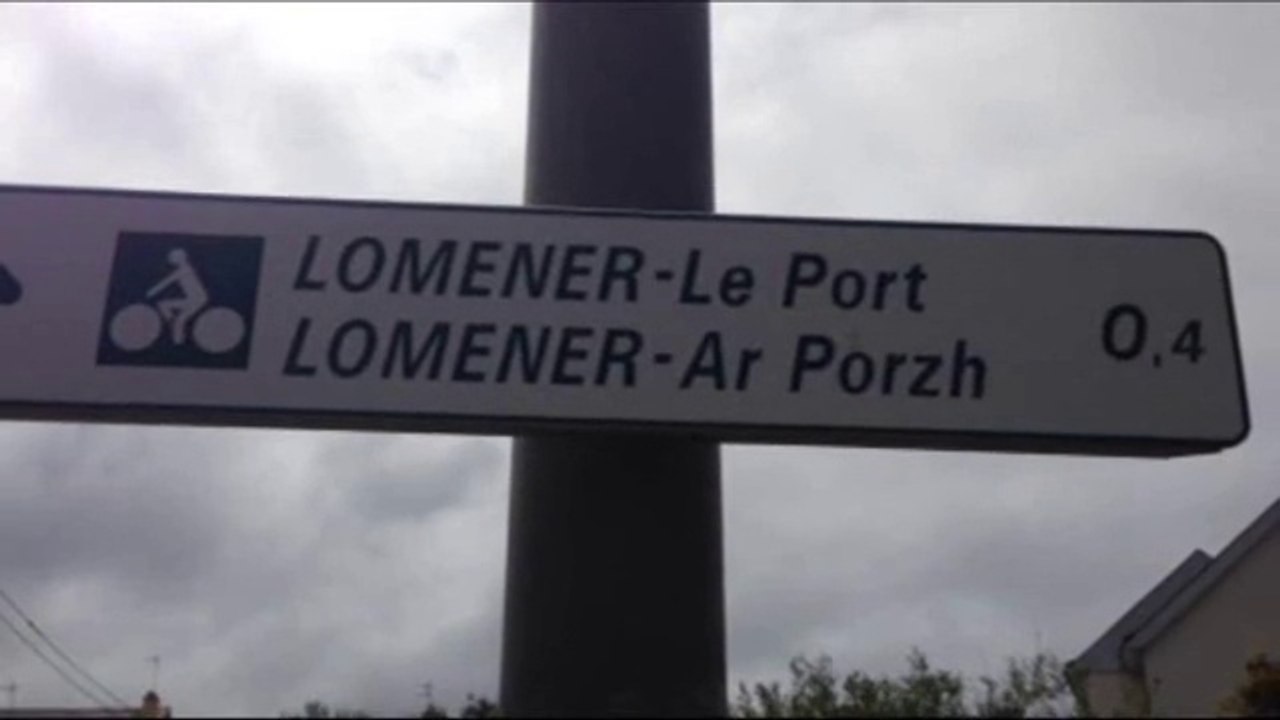 Lomener 2015