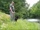 Dog training. Retrieving from river. / Szkolenie psa. Aport z wody.