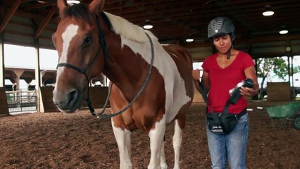 How to mount a horse bareback .Solo-Ride® - start to finish