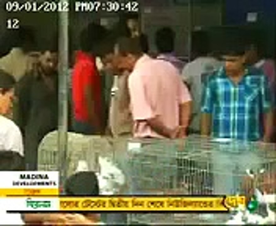Bot Tola Fancy Pigeon Hut Dhaka, Bangladesh