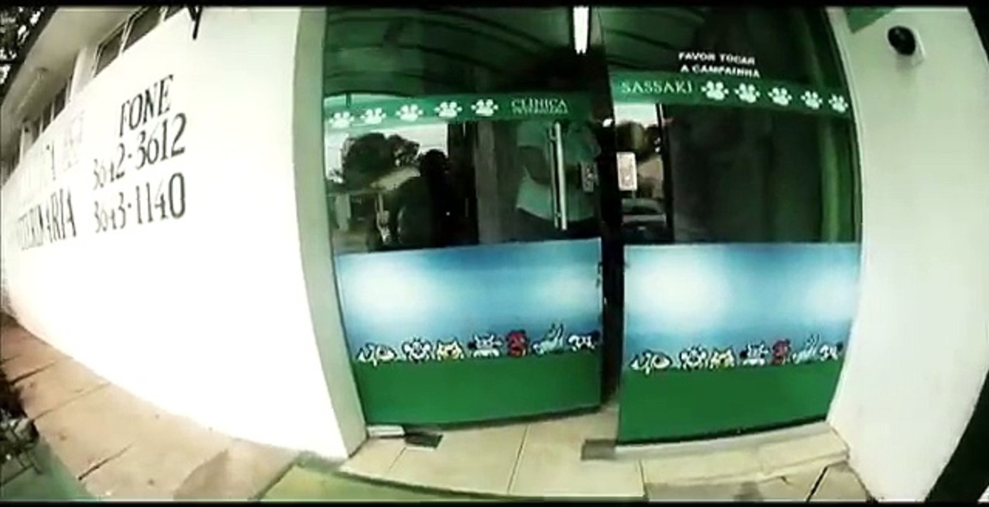 Tour Virtual pela Clínica Veterinária Sassaki em Pindamonhangaba