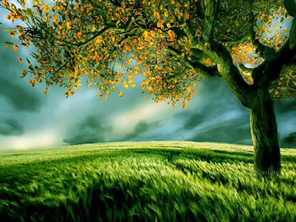 Una puerta abierta a tu meta video reflexiones cristianas cortas