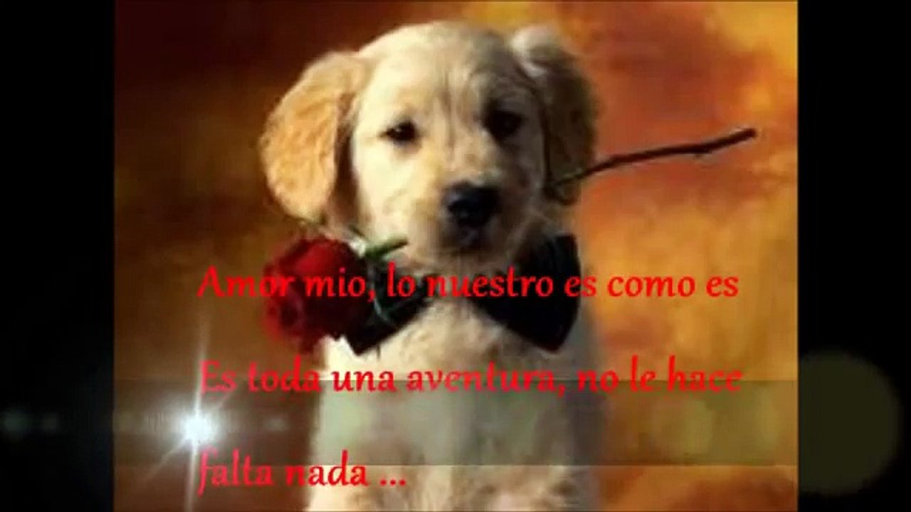 tan enamorados ricardo montaner letra