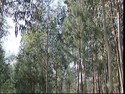 A Alma e a Gente - V #23 - Ver e Pensar em Rio Maior - 24 Jun 2007