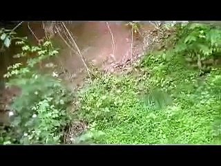 I Got Attacked By A Bird...