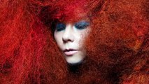 Björk at the MOMA. Black Lake.