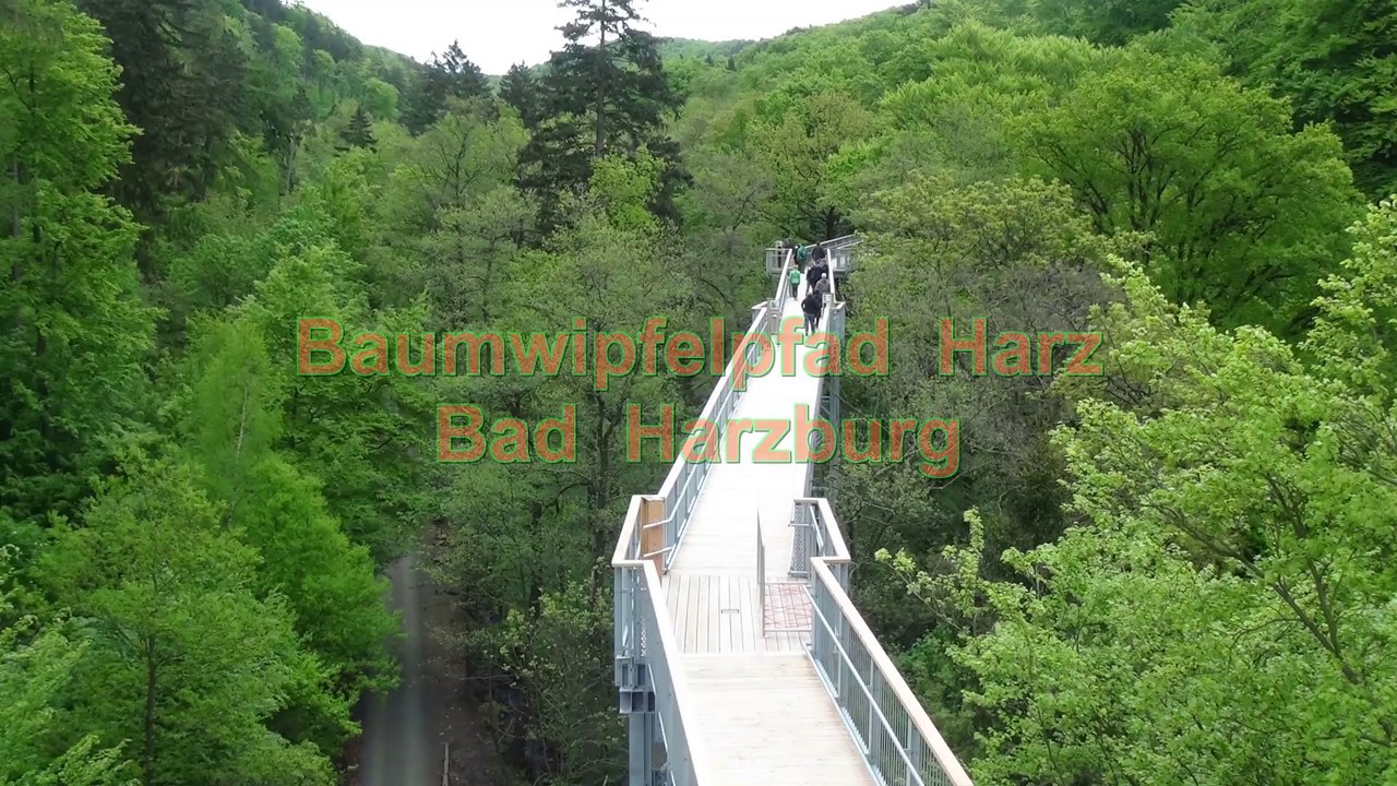 Baumwipfelpfad Harz bei Bad Harzburg