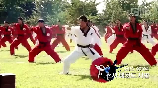 Army Korean Taekwondo demonstration