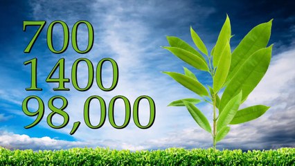 یتیموں کا سفیر   - اسلامی اسکالر محترم عبدالستار خان