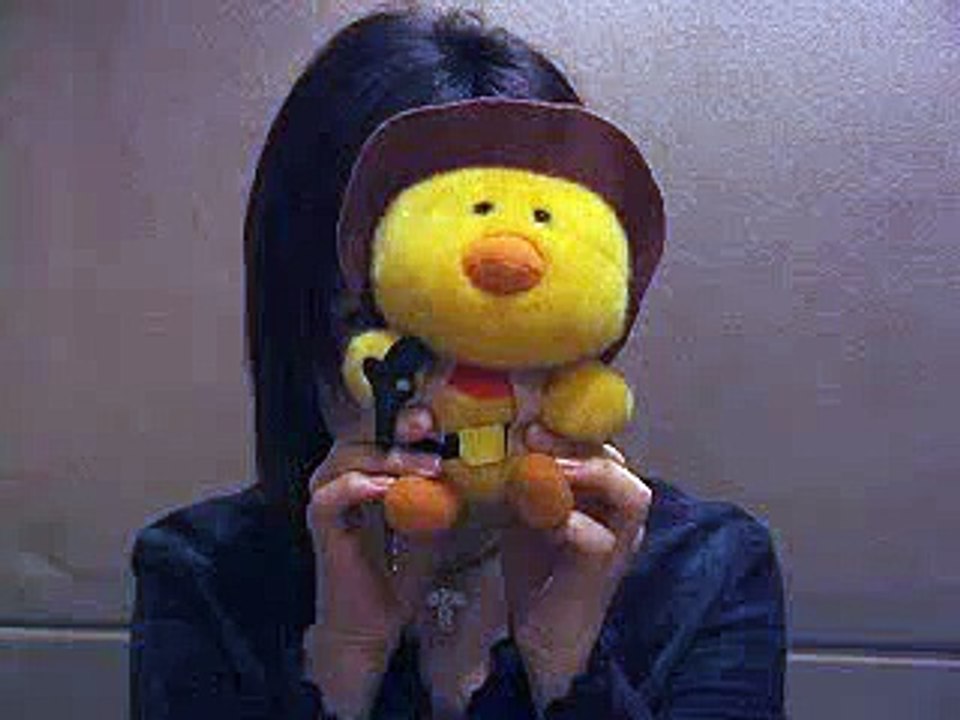 Megumi Hayashibara - New Year 2006 Message