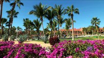 Melia Cabo Real All Inclusive Beach & Golf Resort - Los Cabos, Mexico - on Voyage.tv
