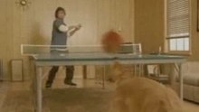2005_autopingpong