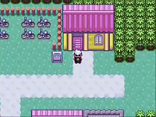 Pokemon Emerald- Nigga stole my bike!!
