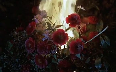 (2) ref ed esor al