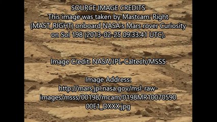 Weird Animal Found on Mars: NASA Curiosity New Camel Species? ArtAlienTV - 1360p