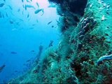 Scuba Diving in the Caribbean: St. George Wreck