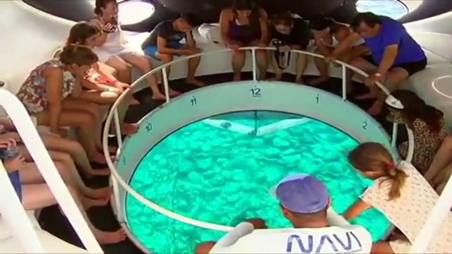 Viagem Para Fernando de Noronha - Dicas Para Aproveitar ao Máximo Fernando de Noronha