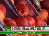 Huertas de alimentos orgánicos en Argentina